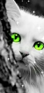 White cat with vivid green eyes peeking from behind a tree.