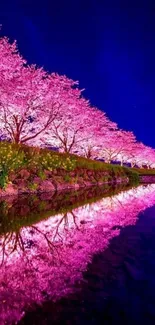 Pink cherry blossoms reflecting in water under a starry night sky.