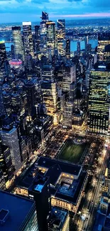 Breathtaking cityscape at night with vibrant lights.