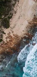 Aerial view of a pristine coastline with turquoise waters and lush green forests.