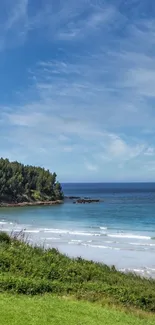 Coastal beach view with blue sky and ocean waves.