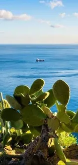 Scenic beach view with azure ocean, sandy shores, and lush greenery.