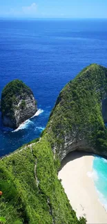 A stunning view of a tropical beach with blue ocean and lush greenery.