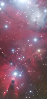 Stunning crimson nebula with stars, perfect for wallpaper enthusiasts.