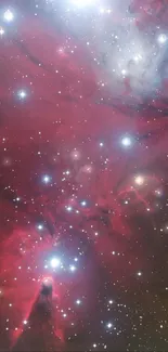 Red cosmic nebula with bright stars in space.