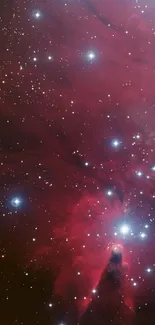 Red cosmic nebula with stars, perfect for mobile wallpaper.