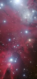 Vibrant red nebula with stars in space, ideal for mobile wallpaper.