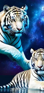 Siberian tigers with a cosmic galaxy backdrop in stunning mobile wallpaper.