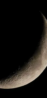 Crescent moon against a black sky, showcasing detailed lunar surface.