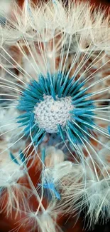 Close-up of a dandelion with blue hues.