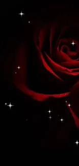 Dark red rose wallpaper with black background.