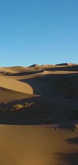 Golden desert dunes with clear blue sky.