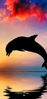 Dolphin silhouette jumping against a colorful sunset sky.