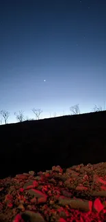 Silhouetted landscape at dusk with a starry sky and red-tinted rocks.