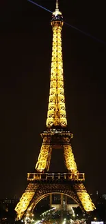 Eiffel Tower beautifully lit at night in Paris.