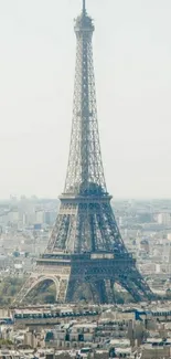 Eiffel Tower framed by the Paris skyline, iconic city view.