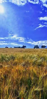 Golden field under a blue sky mobile wallpaper.