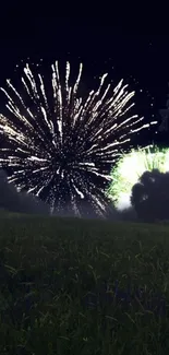 Colorful fireworks in a dark sky over a grassy field at night.