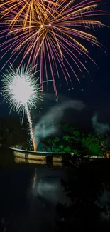 Vibrant fireworks over a serene lake at night.