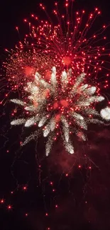 Fiery red fireworks explode against a dark night sky.