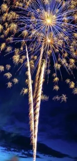 Breathtaking fireworks in a night sky, vibrant and colorful display.