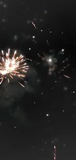 Fireworks exploding in the night sky with vibrant colors.