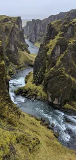 Scenic fjord with lush greenery and a winding river.