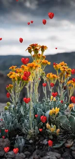 Vivid orange wildflowers with mountains in background.