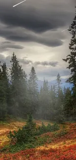 Serene forest landscape with autumn colors and cloudy sky.