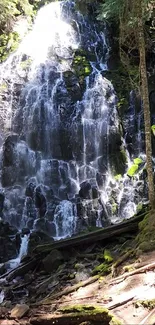 Mobile wallpaper of a forest waterfall with lush greenery and sunlight filtering through trees.