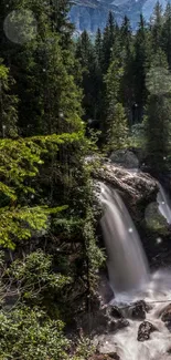 A beautiful forest waterfall with lush greenery and cascading water.