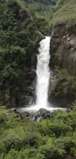 Beautiful waterfall surrounded by lush greenery in a tranquil forest setting.