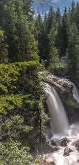 A lush forest with a cascading waterfall and vibrant greenery.