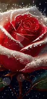 Frosted red rose with sparkling dew in a stunning mobile wallpaper design.