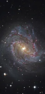 A vibrant spiral galaxy with stars in a black space background.