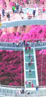 Glass bridge above vibrant pink landscape with tourists.