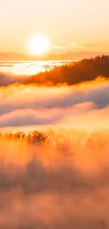 Golden sunrise landscape with mist and soft sunlight creating a serene view.