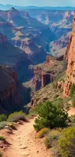 Scenic view of the Grand Canyon with a vibrant hiking trail.