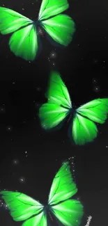 Three vibrant green butterflies on a dark mobile wallpaper.