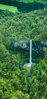 Lush green forest with a waterfall cascading down.