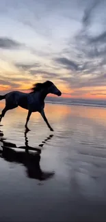 Horse running on beach at sunset with reflection on wet sand.