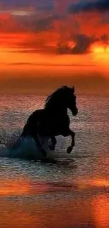 Horse running in ocean at a vibrant orange sunset.