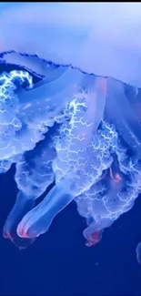 Mesmerizing jellyfish with bioluminescent glow in deep ocean blue.