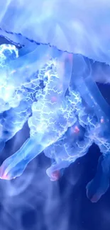 Beautiful glowing jellyfish on blue background mobile wallpaper.