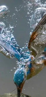 Kingfisher diving underwater with bubbles and fish.