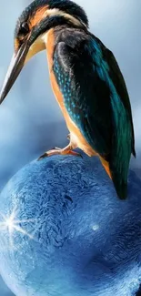 Kingfisher on icy blue sphere wallpaper.