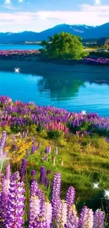 Lavender field with lake and mountains creating a stunning phone wallpaper.