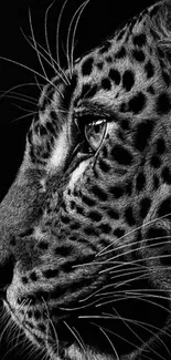 Black and white leopard profile wallpaper for mobile.