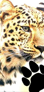 Majestic leopard with a black paw print on a mobile wallpaper.