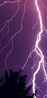 Dramatic lightning strike lighting up a purple sky over dark tree silhouettes.